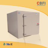 Cold Room for Meat Dairy Chiller