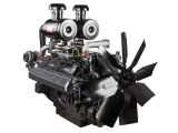 Small Power Agricultural Diesel Engine for Sale