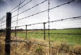 Barbed Wire/Barbed Wire Fence