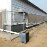 Profesional Steel Structure Poultry& Livestock Farm
