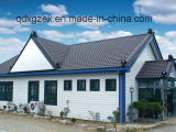 Prefabricated House of Steel Structure (pH-16124)