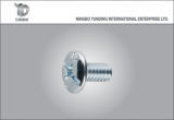 Pan Head Philips Machine Screw with Competitive Price