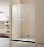 Tempered Glass Shower Door