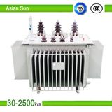 11kv Oil Cooled Oil-Immersed Power Transformer (250kVA)