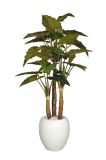 Artificial Plants and Flowers of Colocasia Esculenta 2.55m Gu-Bj-82-28-3