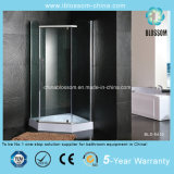Hot Sale Diamond Shaped Design Aluminum Profile Shower Room (BLS-9410)