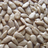 2015 China Fresh Sunflower Seeds Kernel for Wholesale