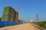 Construction Machinery Tower Crane Model: Qtz60 (5010)