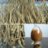 100% Natural Chinese Thorowax Root for Cold and Influenza