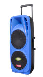 Double 10'' Inch Professional DJ Speaker with Bt Microphone F73