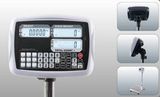 Counting Platform Scale