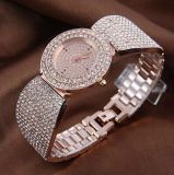 Fashion Quartz Bracelet Ladies Watch (XM8044)