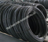 Steel Reinforcement/Steel Wire/Nail Wire (TS1004) 