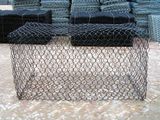 PVC Coated Chicken Wire Netting (LY-C66)