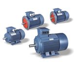 Electric Motor