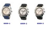 Fashion Watch (6009)