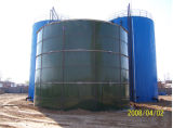 Biogas Project (TYY)