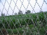 Welded Razor Wire Mesh