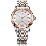 Stainless Watch with Automatic Movement for Man (8131)