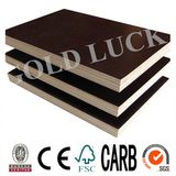 4*8 Film Poplar Plywood Timber