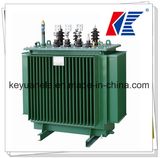 Oil-Immersed Power Transformer (20kV)