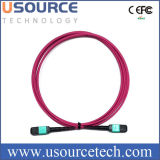 Optical Fiber Patch Cord MPO Cable Plenum