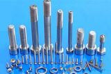 All Kinds of Stainless Steel Fastener