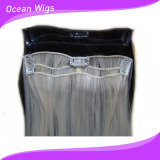 Heat Resistant Synthetic Fiber Cilp in Hair Extension (SE-041)