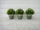 Artificial Plastic Potted Flower (XD15-407)
