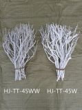 Dry Tree Branches for Home Decoration