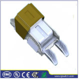 Auto Window Lift DC Motor Thermal Protector 6ap