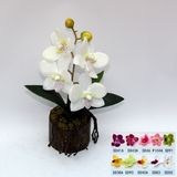 Artificial Potted Flower, Imitative Silk Orchid