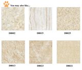 Floor Tile , Ceramics (WD8026)