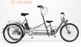 Mother and Son Tricycle (SL-026)