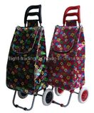 Portable Trolley Luggage (DXT-8309)