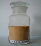 Cordyceps Sinensis Mycelium Powder