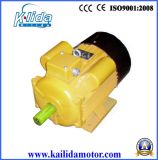 Single Phase Double Capacitors AC Electric Motor (YL132-4)