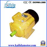 Single Phase Double Capacitors AC Electric Motor (YL132-4)