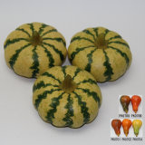 Artificial Vegetable, Imitative Polyfoam Pumpkin (PKH03-4-0707)