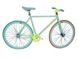 New Fashion Fixed Gear Bicycle