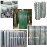 Electric Galvanized Steel Square Wire Mesh