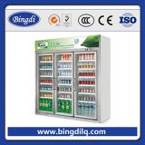 Excellence Domestic Industrial Refrigerator for Supermarket