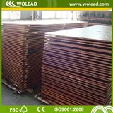 18mm Black Film Plywood (w15119)