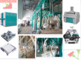 Grain Processing Machinery for Flour