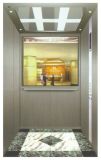 Industrial Construction Elevator with Vvvf Drive (DAIS240)