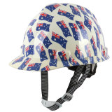 High Quality ABS Safety Helmet with Color Printing (ST03-JLB1025)