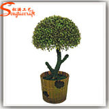 China Factory Wholesale Outdoor Artificial Potted Bonsai Plant Tree