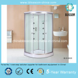 Sliding Clear Glass Massage Sector Steam Complete Shower Room (BLS-9828)