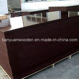 Eucalyptus Core Film Faced Plywood