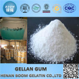 Pharmaceutical Grade Bp Low Acyl Gellan Gum